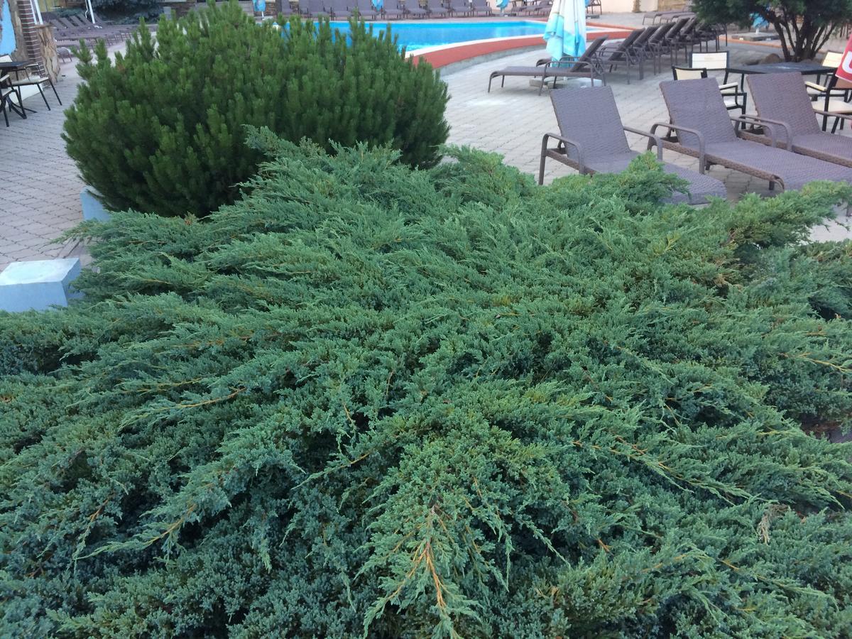Arkada Beach Club Hotel Mala Danylivka Exterior foto